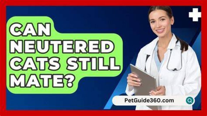 Can neutered cats still mate?