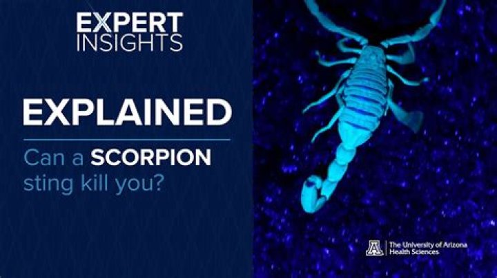 Could a scorpion kill you?