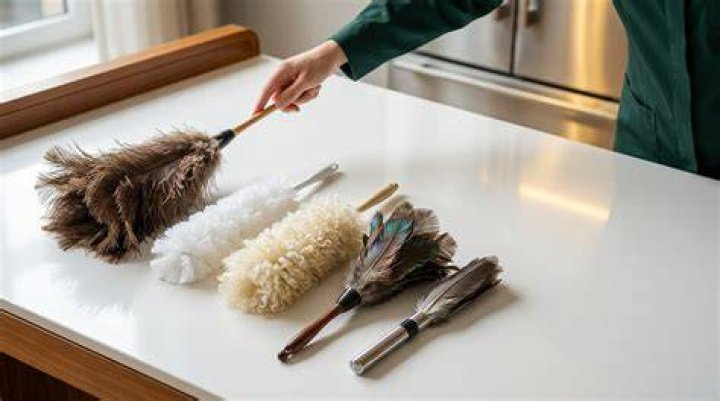 Do feather dusters really work?