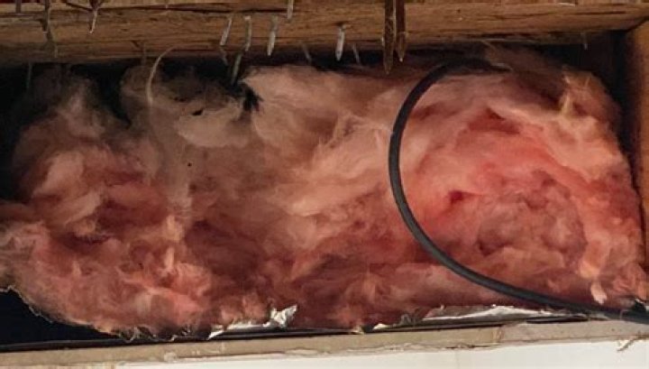 Does havelock wool mold?