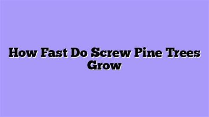 How fast do screw pines grow?