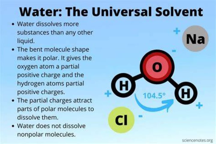 How is water a universal solvent?