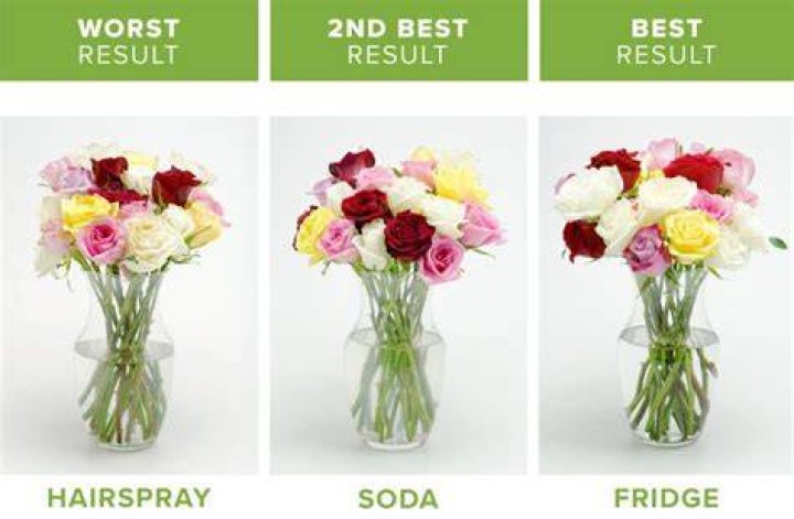 How long do flowers last?