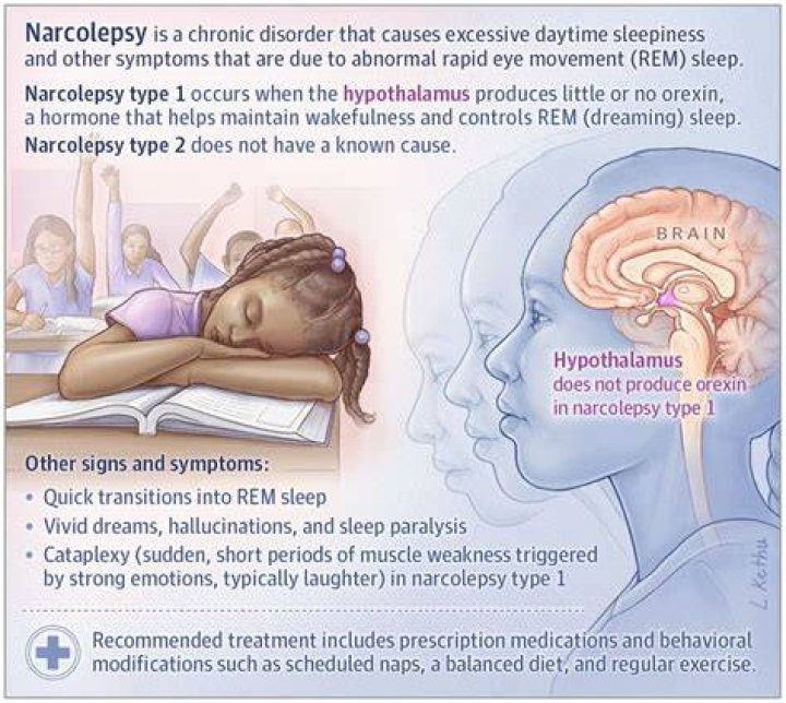 How tall is narcoleptic nugget?