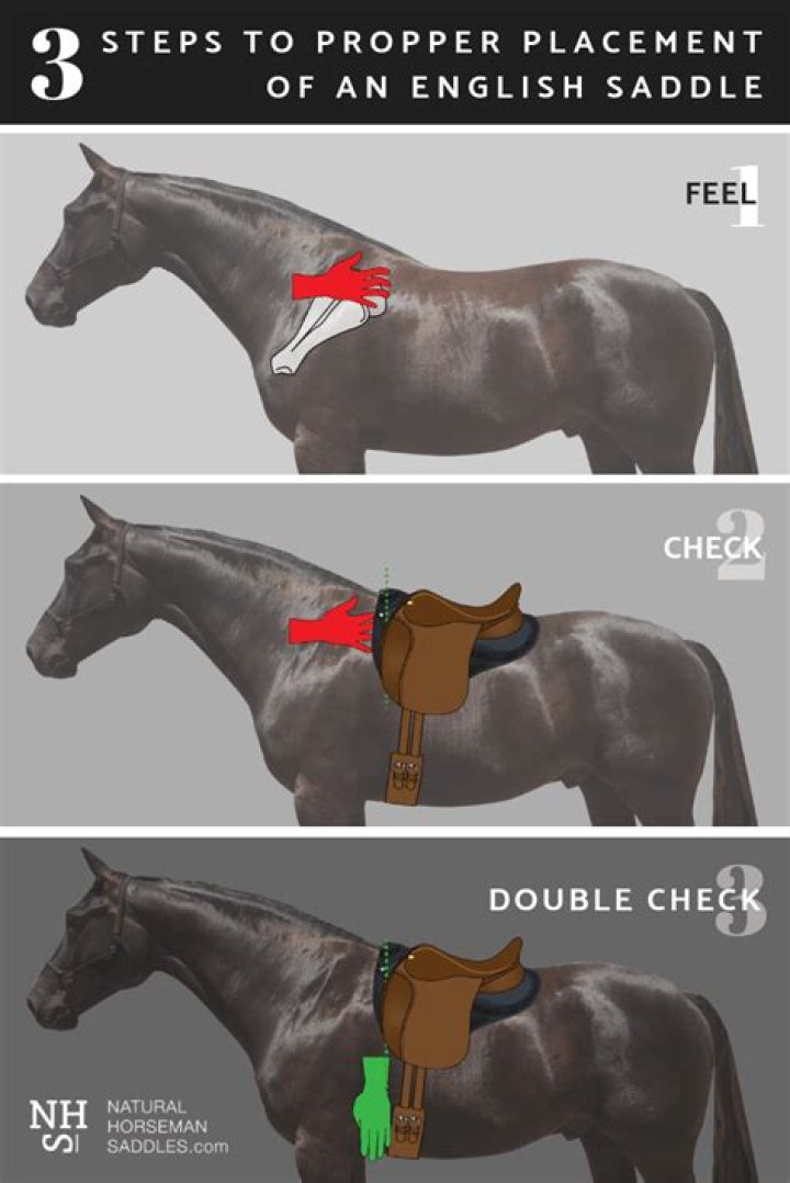 How to fit a saddle?