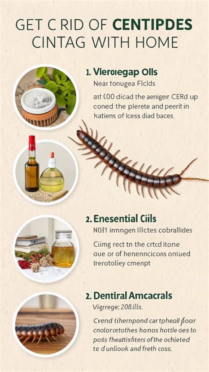 How to get rid of centipedes home remedy?