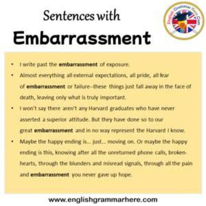How to use embarrassment in a sentence?