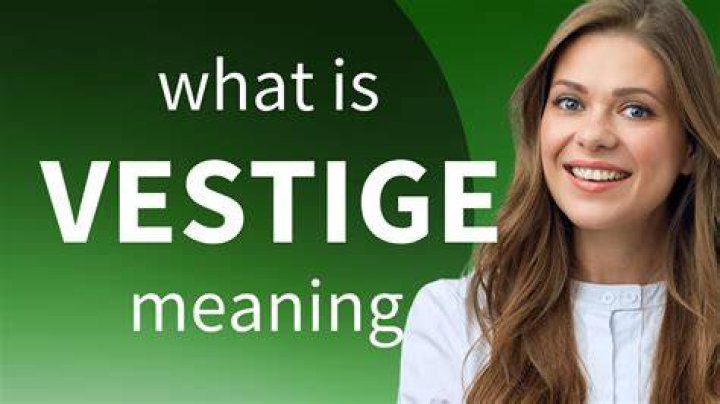 In the vestige definition?