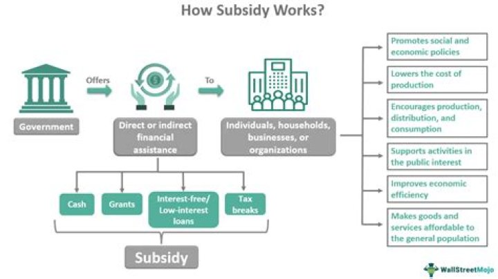 In what ways are government subsidies protectionist?