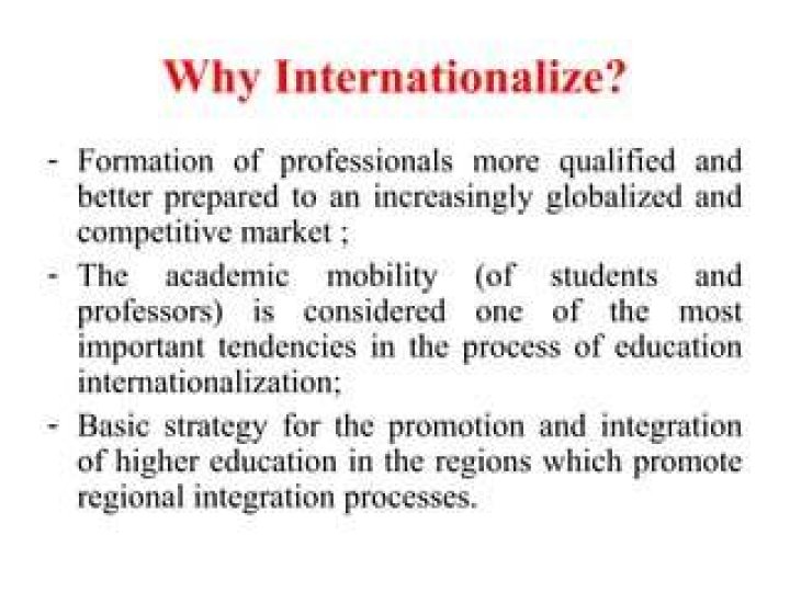 Internationalize in higher education?