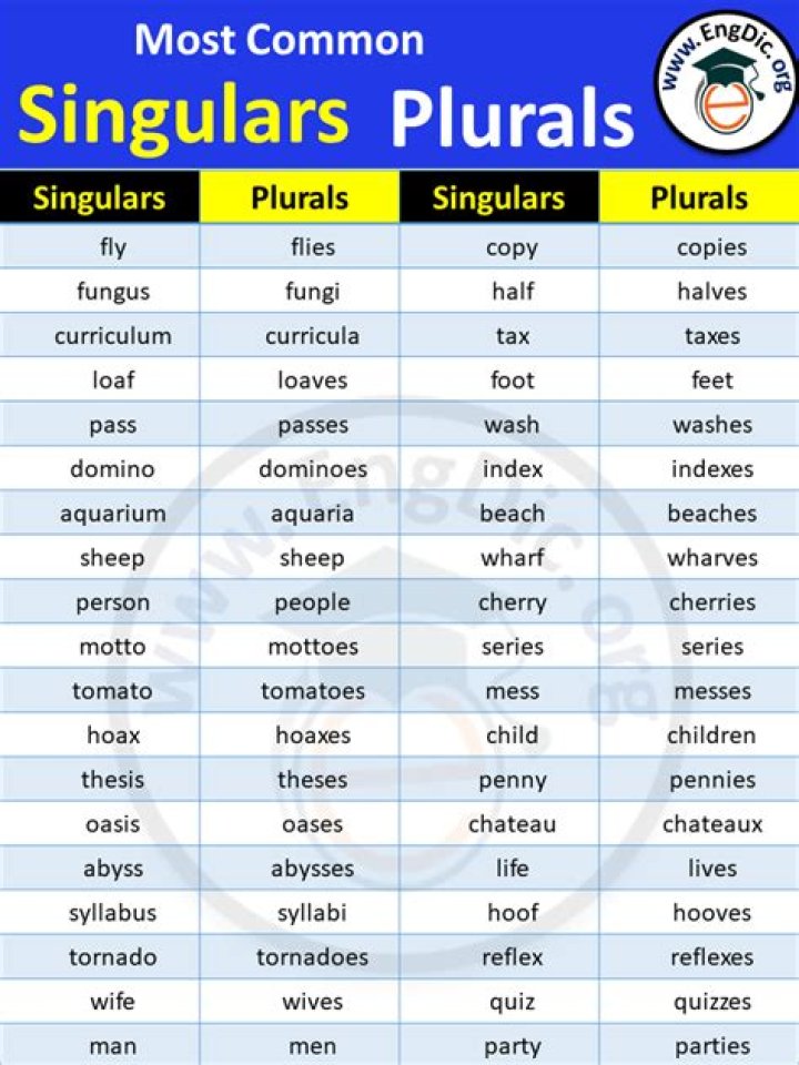 Is notions singular or plural?