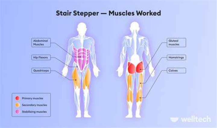 Should i do the stair stepper everyday?