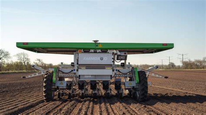 Should seeders be more or leechers?