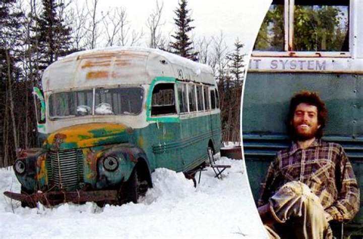 Was into the wild a true story?