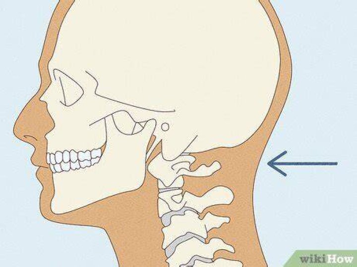 Were is the nape of your neck?
