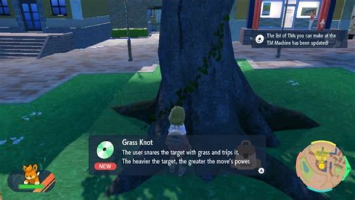 What does grass knot do?