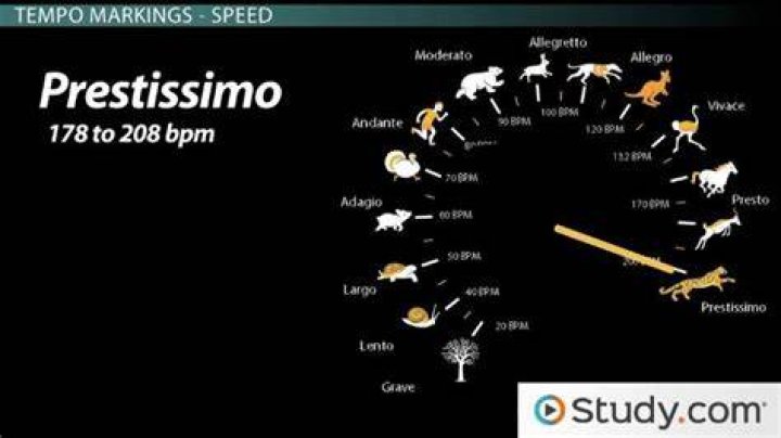 What does maestoso mean in english?