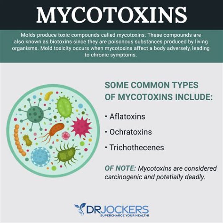 What does mycotoxicosis mean?