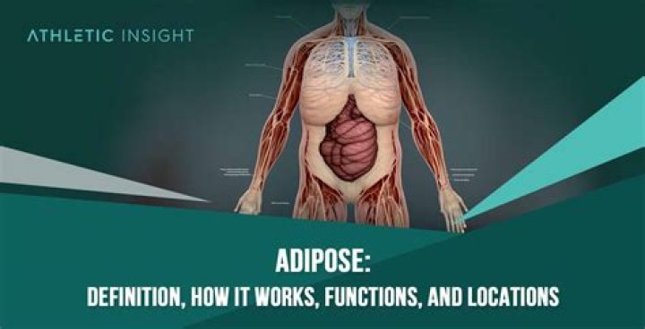 What does the medical term bradypepsia mean?