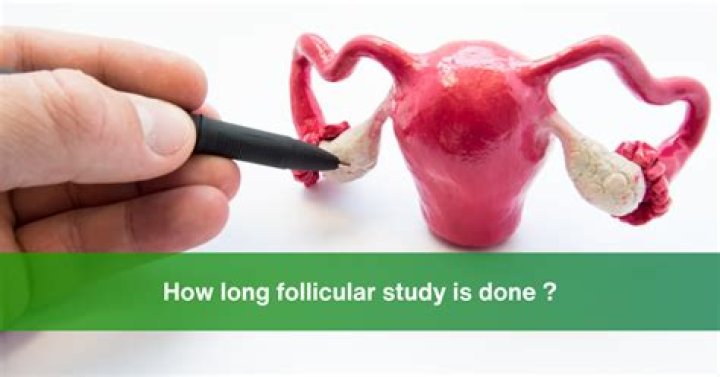 What is follicular study?