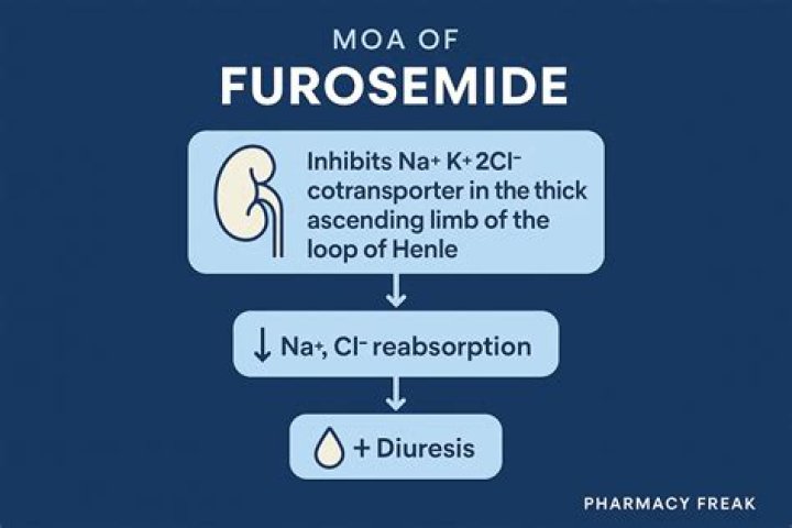 What is furosemide used for and its side effects?