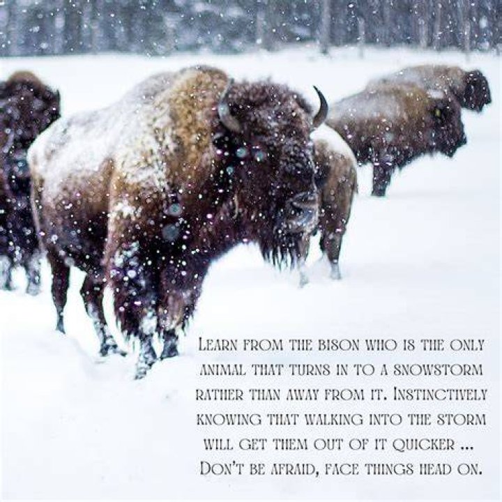 What is gustus attitude towards the storm?