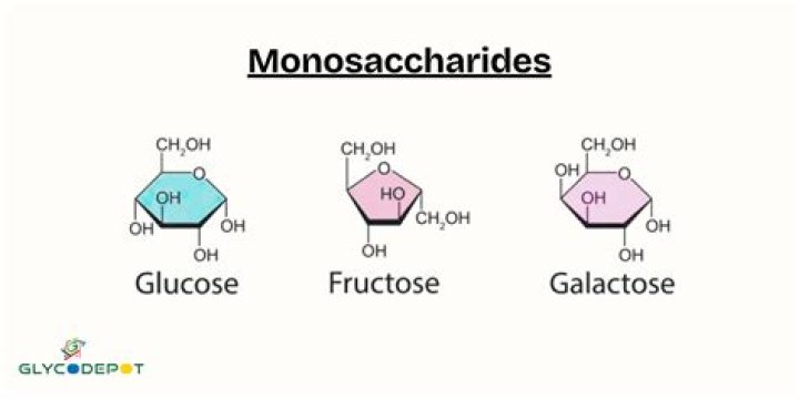 What is the simplest monosaccharide?