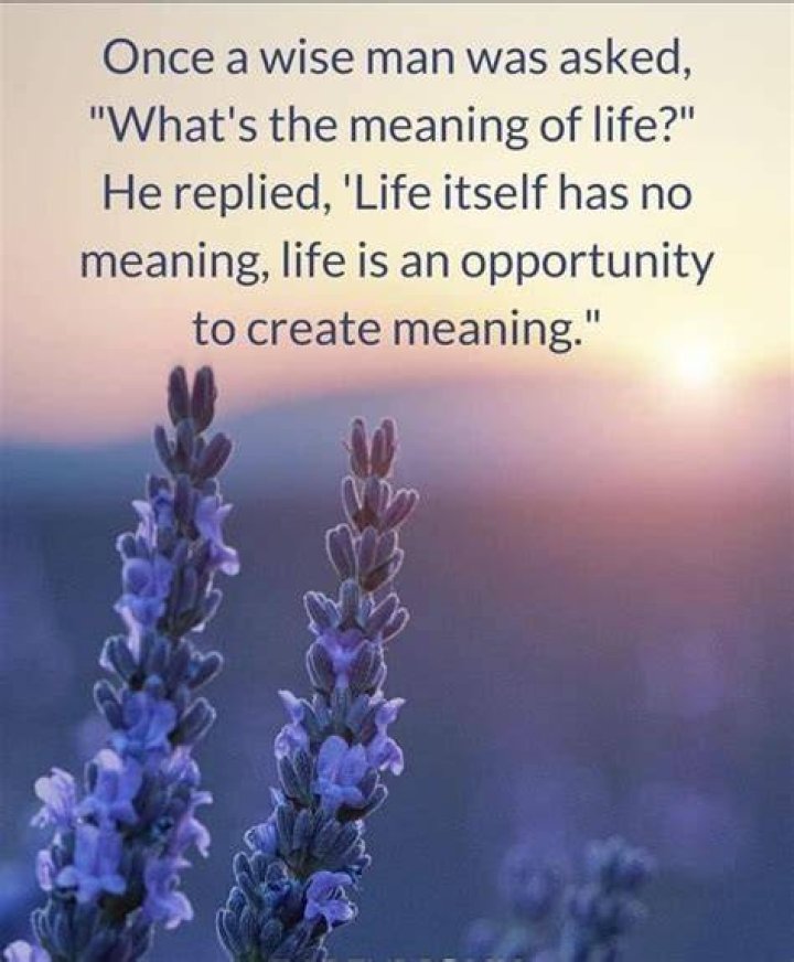 Whats the meaning of susanne?