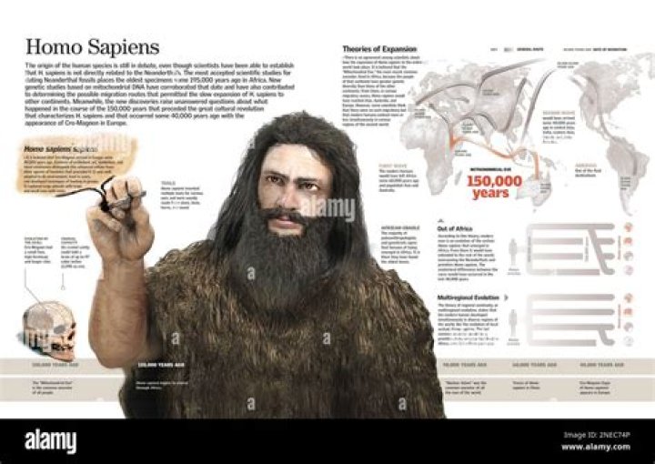 Where does homosapien come from?