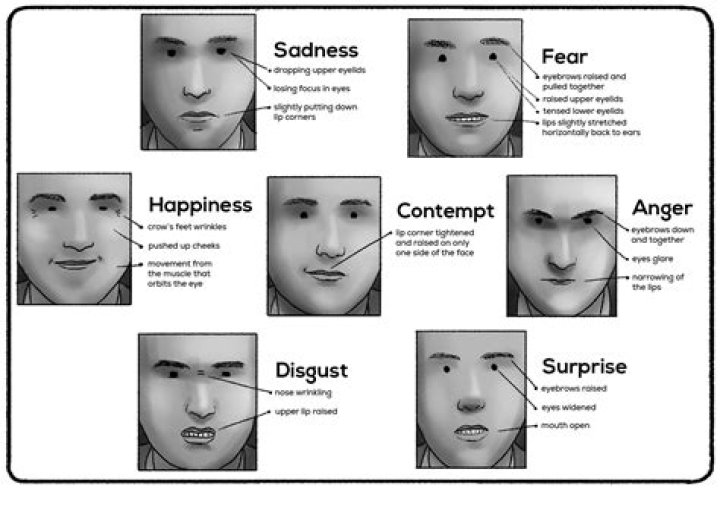 Where does the expression waylaid come from?