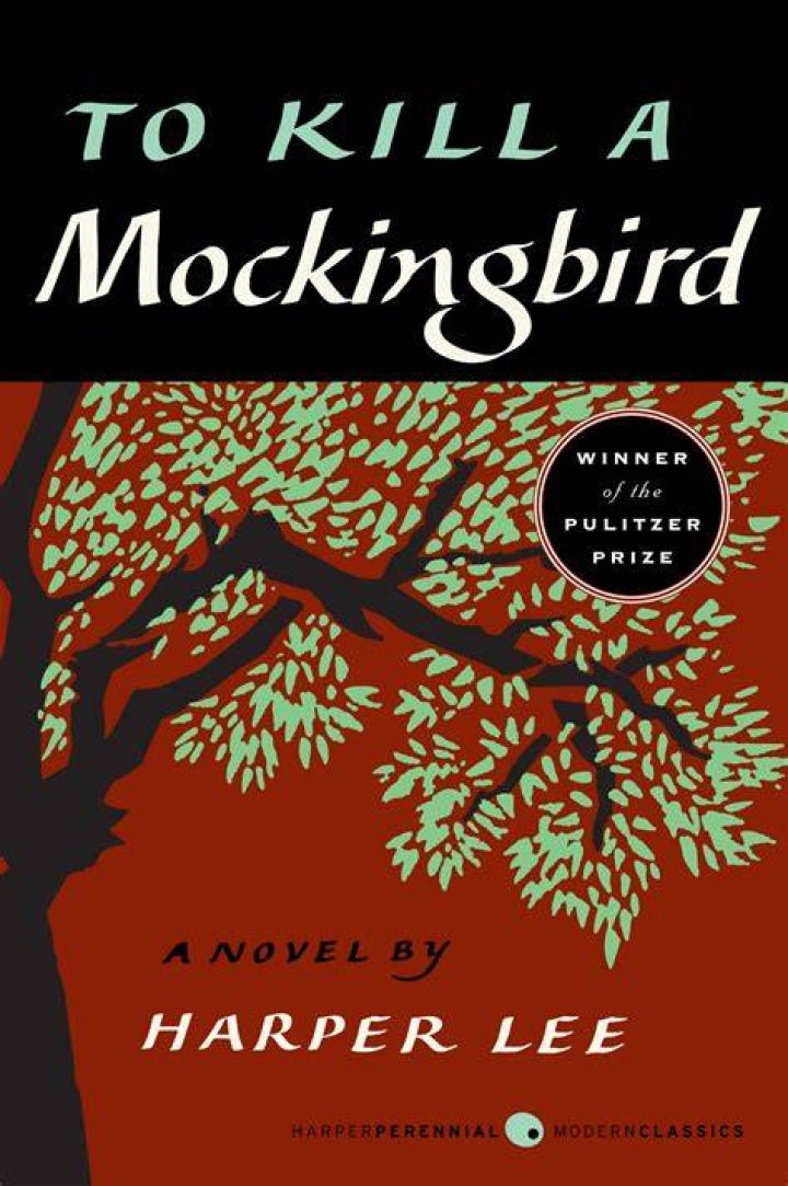 Where is the word obstreperous in to kill a mockingbird?