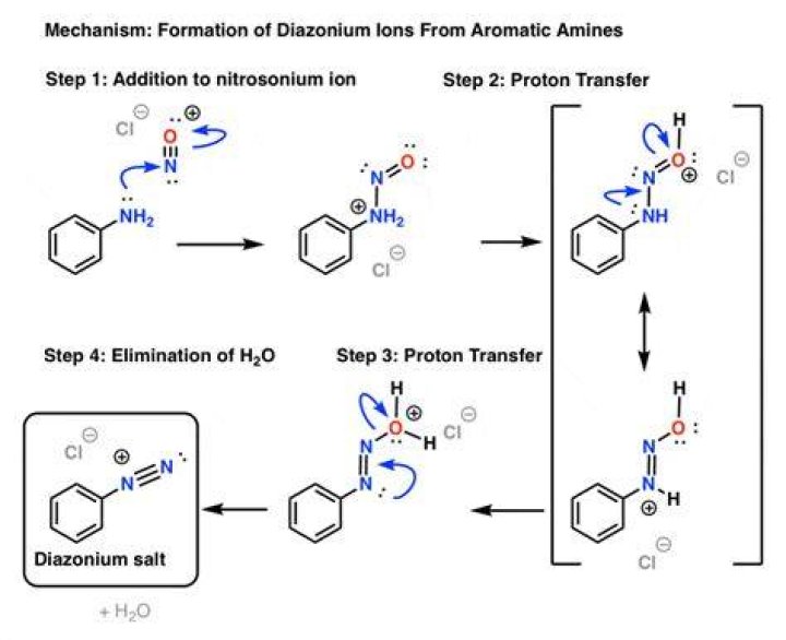 Which amines show diazotization reaction?