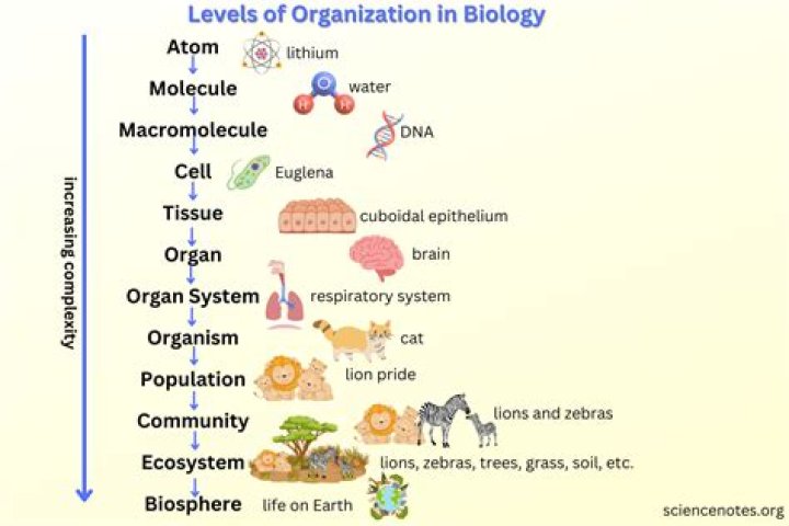 Which are biological sciences?