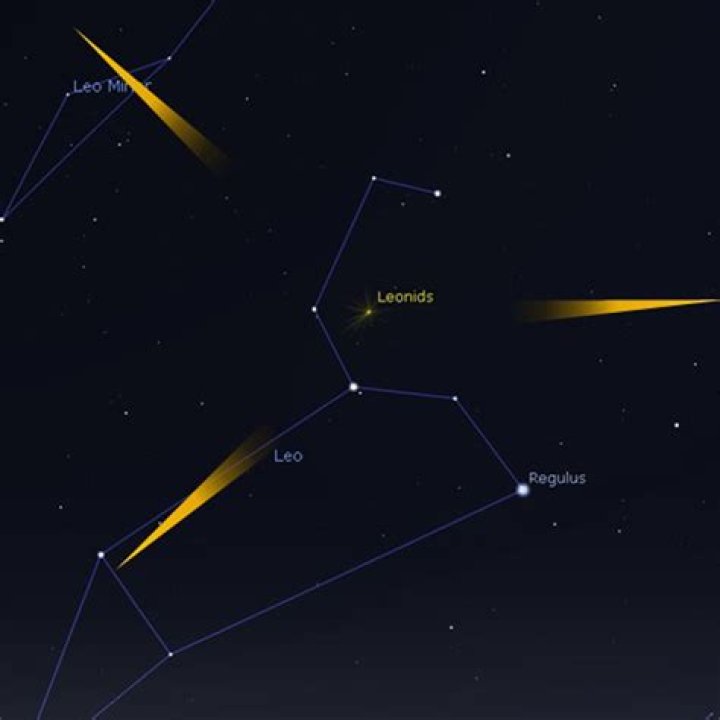 Which direction to look for leonid meteor shower?