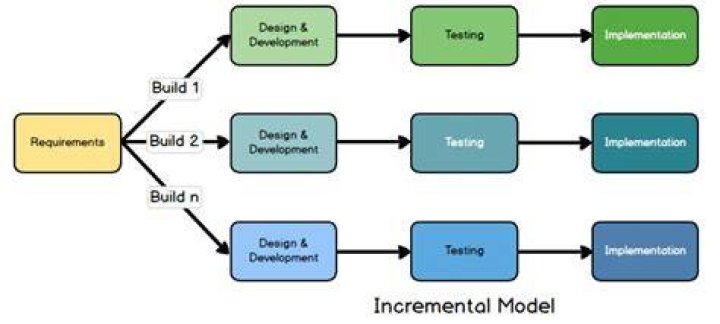 Who developed incremental model?