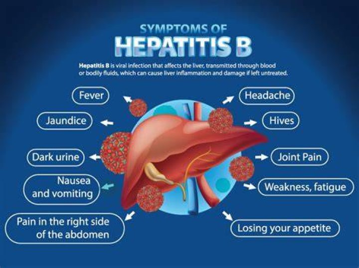 Who do you get hepatitis b?