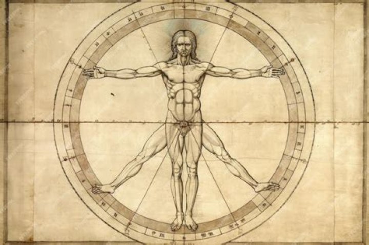 Who is the vitruvian man?