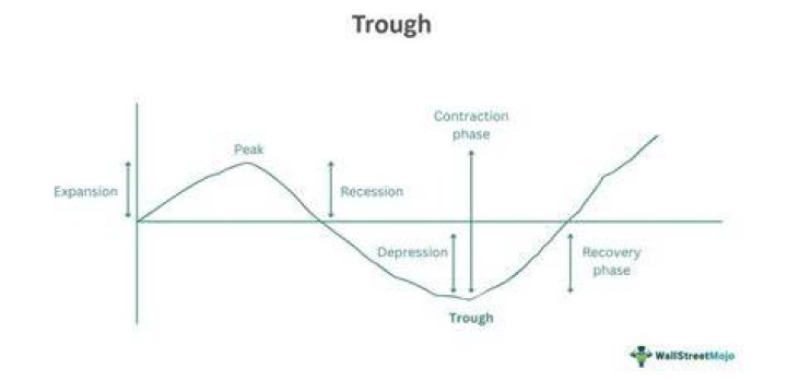 Why are trough levels drawn?