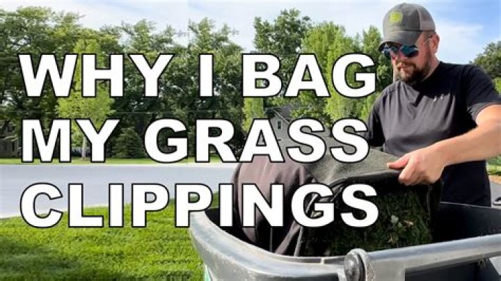 Why bag your grass clippings?