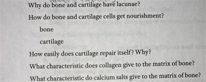 Why do bone and cartilage have lacunae?