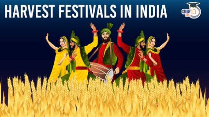 Why harvest festivals are celebrated?