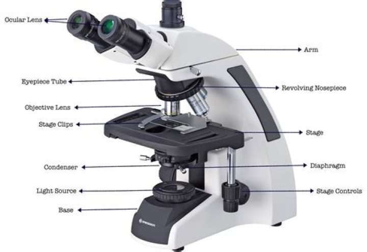 Why is parfocal important in microscopy?