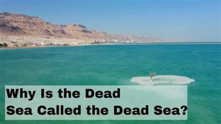 Why the dead sea is called dead sea?