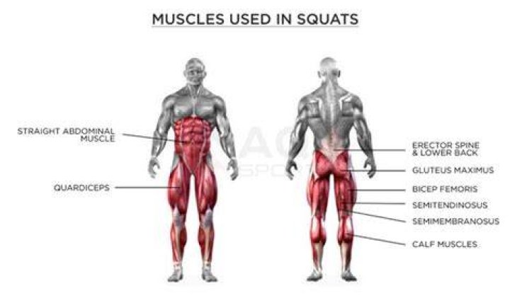 Will squats bulk up my thighs?